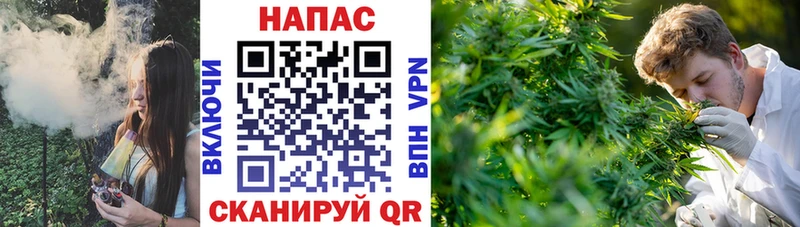 Купить наркотики цена Пушкино APVP  Меф  kraken как зайти  Амфетамин  Псилоцибиновые грибы  Каннабис  ГАШ 