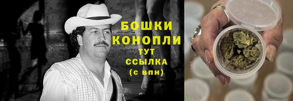 эйфоретик Осинники