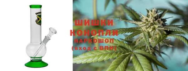 тгк Пересвет