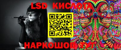 молекула духа Бийск