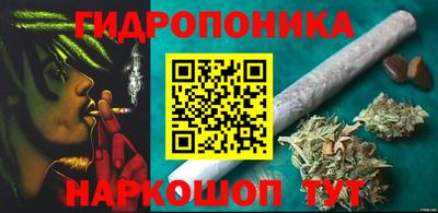 шишки Балашиха