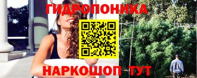 шишки Балашиха