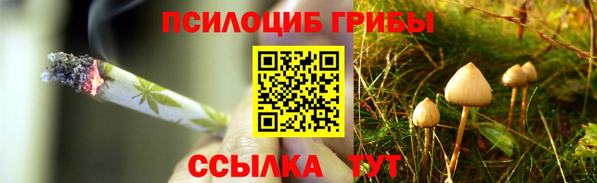 Псилоцибиновые грибы мухоморы  Пушкино 